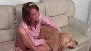 Blonde Spring Sucks Black - porn video