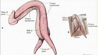 HOW PJ WORKS - porn video