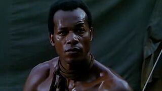 Unfaithful Slut Wife Fucks With A Black Guy While Her Cuckold Husband Watches Them From Behind The Bushes - porn video